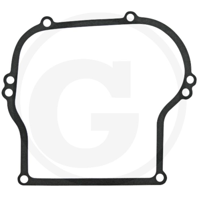 Carterpakking Briggs & Stratton 134400