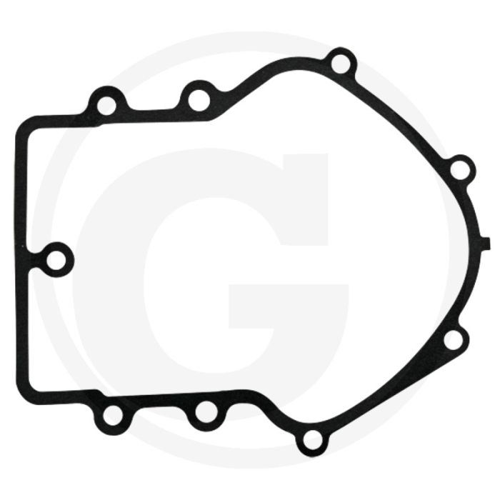 Carterpakking Briggs & Stratton 400700 - 463700