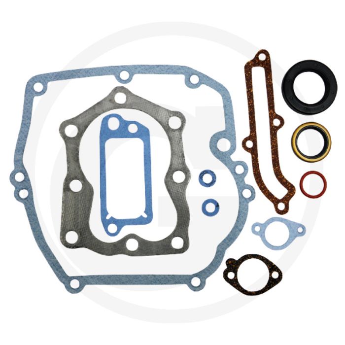 Pakkingset Briggs & Stratton 121700-129800