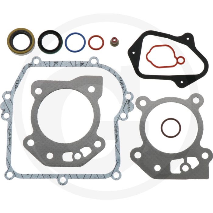 Afdichtset Briggs & Stratton 08P500, 09P600...
