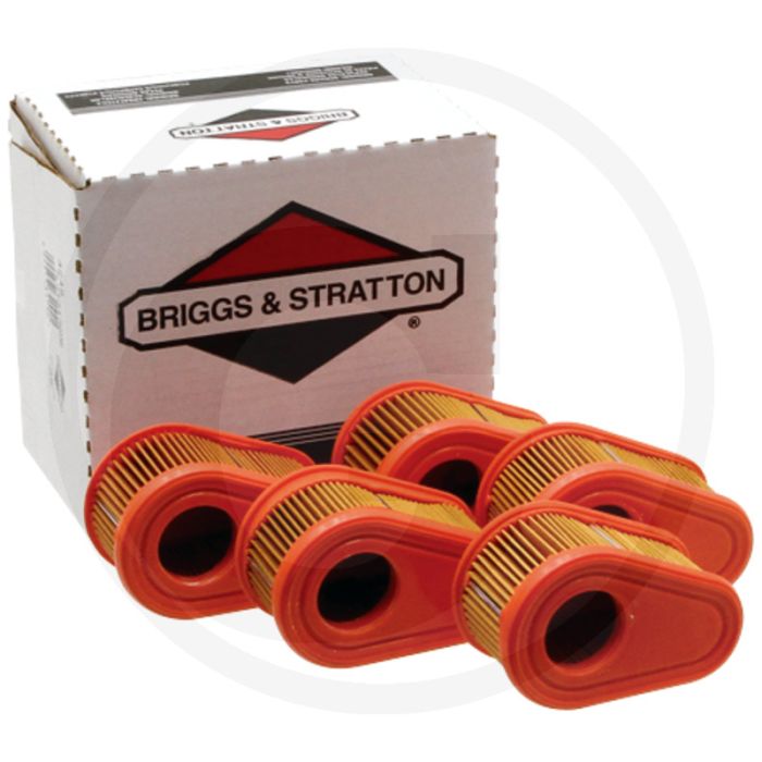 Briggs & Stratton Luchtfilter (Voordeelverpakking (VPE 5))