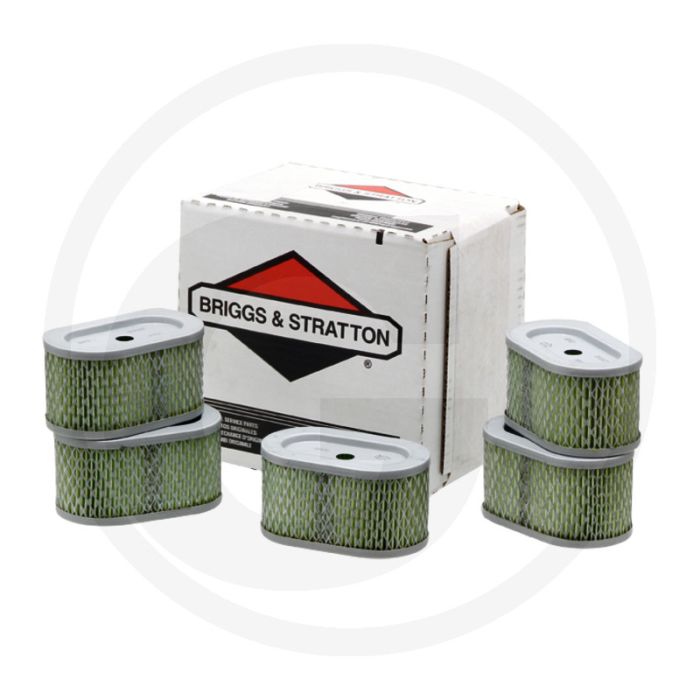 Briggs & Stratton Luchtfilter (Voordeelverpakking (VPE 5))