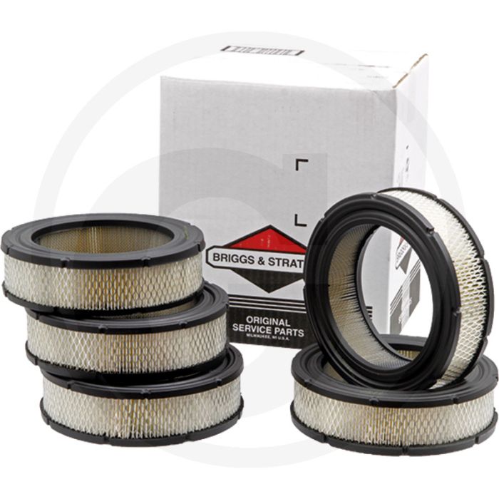 Briggs & Stratton Luchtfilter (Voordeelverpakking (VPE 5))