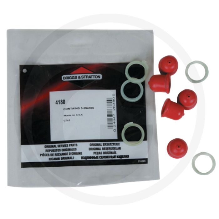 Briggs & Stratton Primer (Voordeelverpakking (VPE 5))
