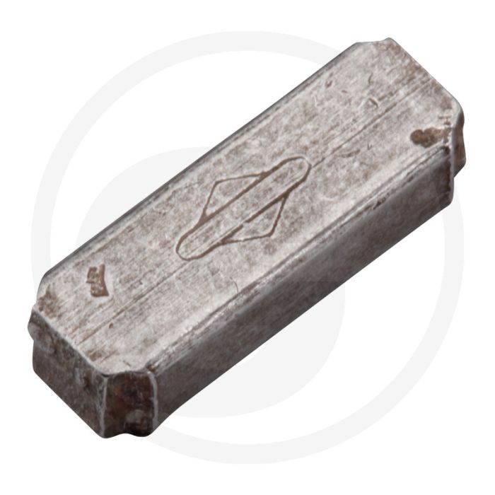 Briggs & Stratton Vliegwielspie