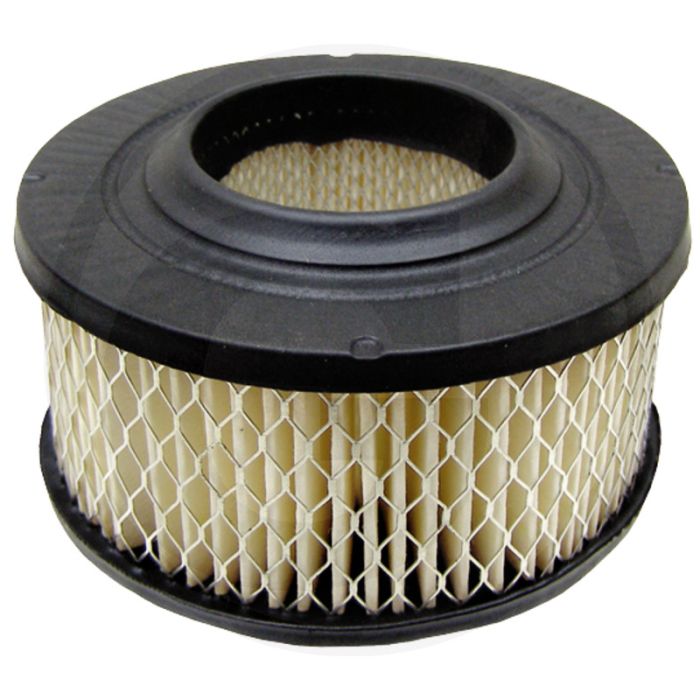 Luchtfilter Homelite DM 50