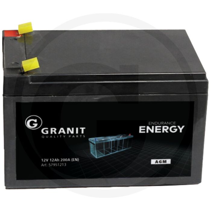 ENDURANCE ENERGY Accu 12V/12Ah AGM Vlakstekker 150x95x93mm - Gesloten en onderhoudsvrij