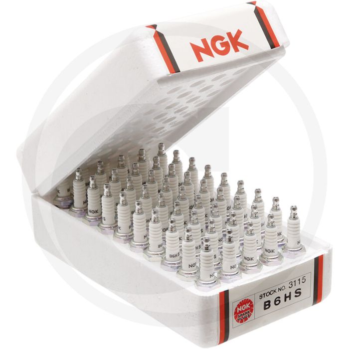 NGK Bougies (BPR6ES) NGK Bougies (BPR6ES)