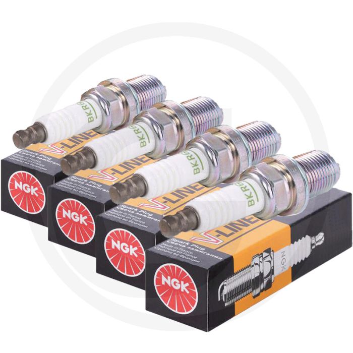 NGK Zündkerzen (BP6EF) NGK Zündkerzen (BP6EF)