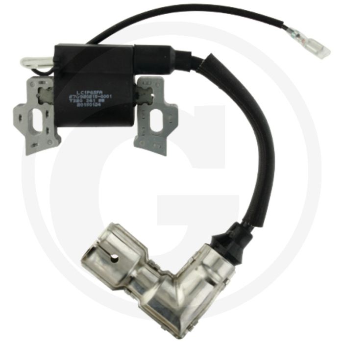 Loncin Ontstekkingsspoel LC 1P61 FA - 100 tekens