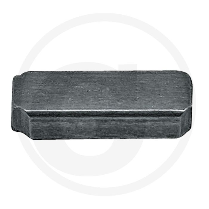 Vliegwielspie Briggs & Stratton 09C900