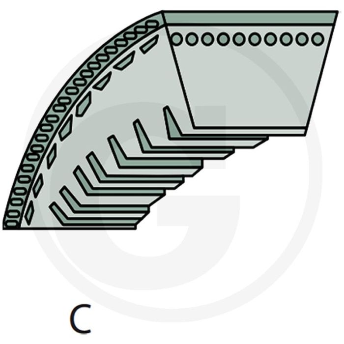 AS-Motor V-snaar (Type C)