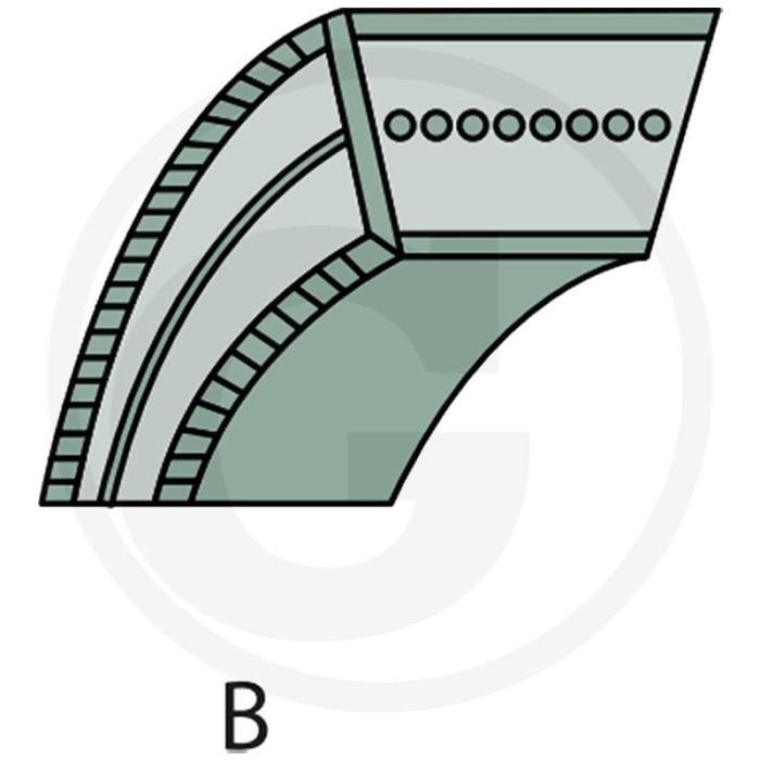 V-snaar (Type B) V-snaar (Type B)