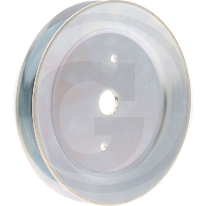 V-snaarpoelie (met binnenvertanding (12 tands))