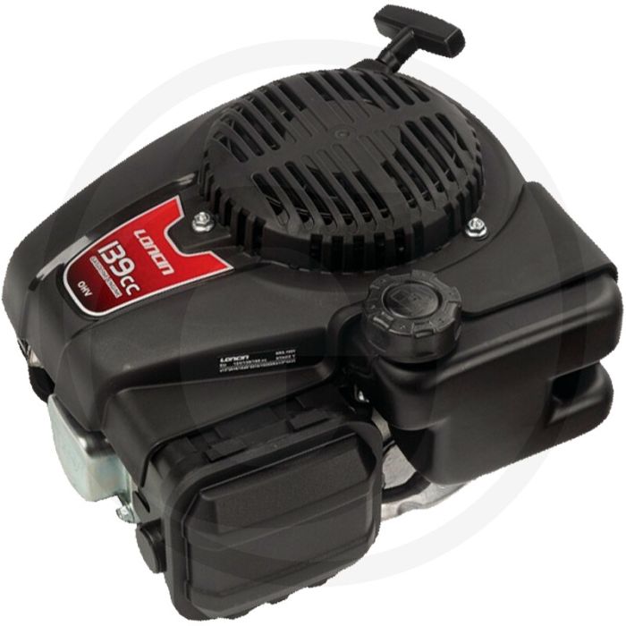 Loncin Motor (LC1P65FE)