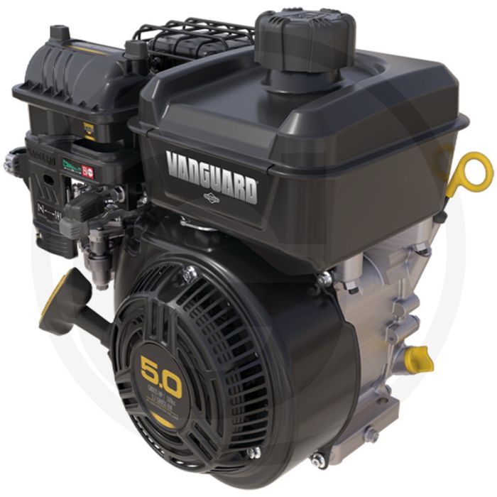 Briggs & Stratton Motor (5.0 Vanguard OHV)
