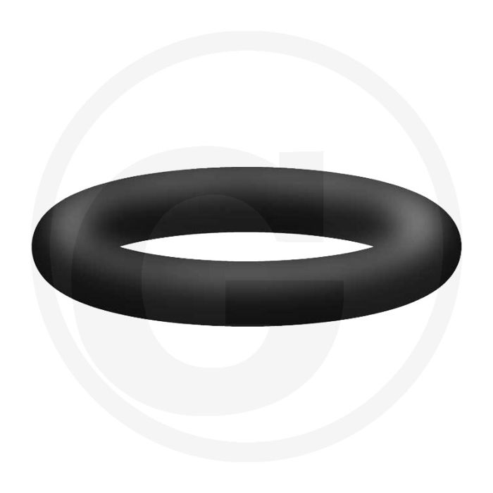 O-ring 10 x 2,2 mm