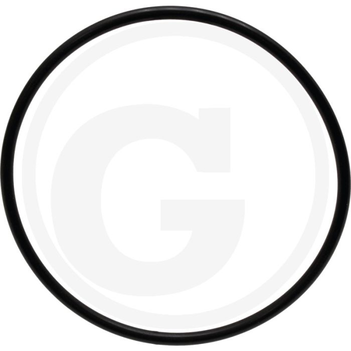 O-ring (Cilinderbus) O-ring (Cilinderbus)