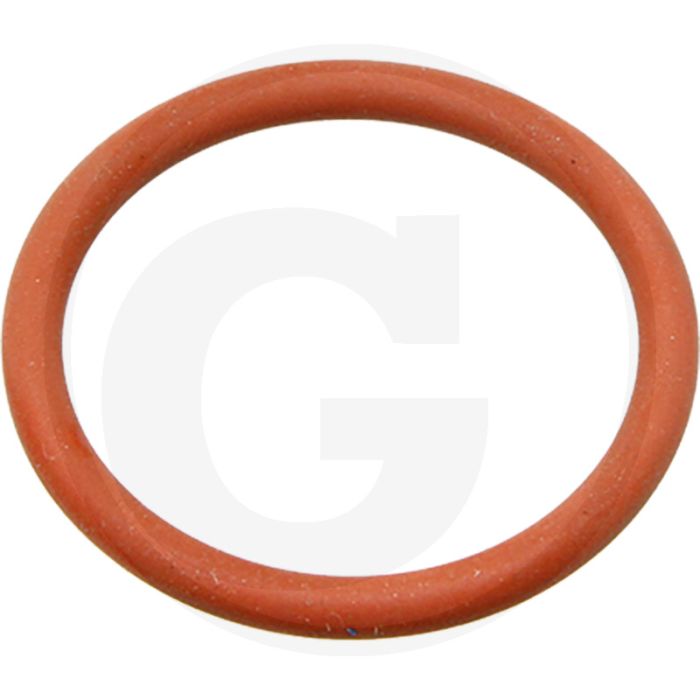 O-ring (stoterstanggeleiding)