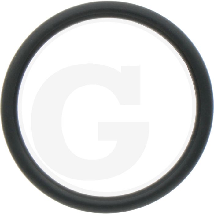 O-ring (Stoterstang, onder)