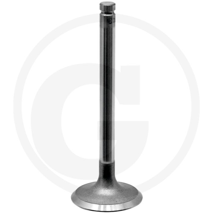 Inlaatklep (klepzitting 45°)