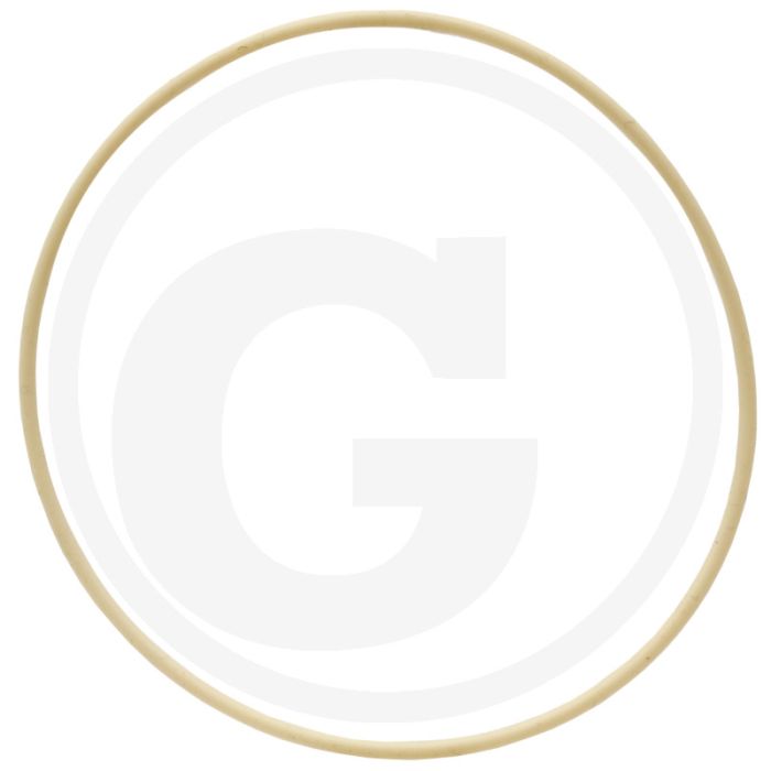 O-ring (cilinderbus)
