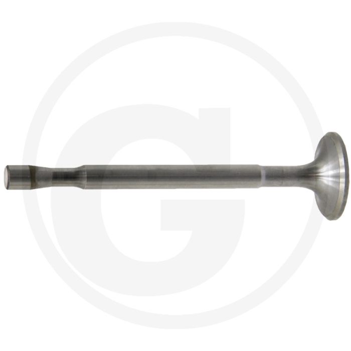 Uitlaatklep - Motortype: 2 DN, 2 DNS, Trekkertype: D 17 N, D 131 W, D 132 W