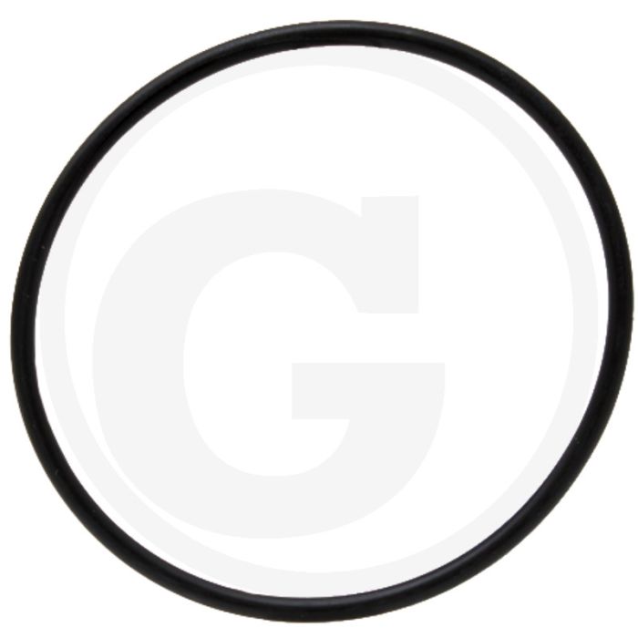 Afdichtring (cilinderbus)