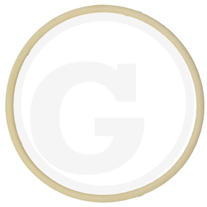 O-ring (Cilinderbus)