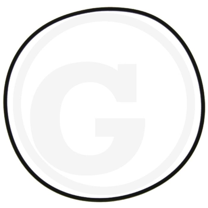 O-ring (lagerdeksel  vliegwielzijde)
