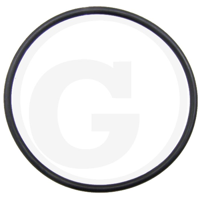 O-ring (Cilinderbus)
