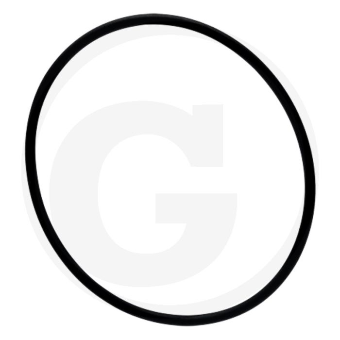 Afdichtring (cilinderbus,  dikte: 4 mm)