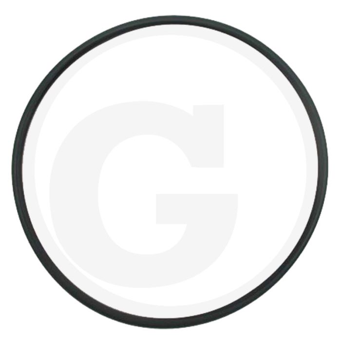 O-ring (Cilinderbus) O-ring (Cilinderbus)
