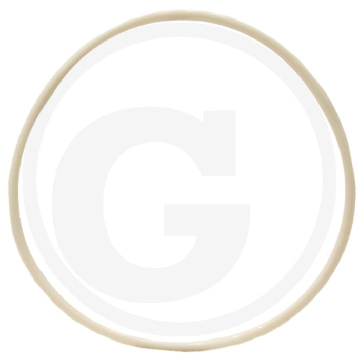 O-ring (cilinderbus) O-ring (cilinderbus)