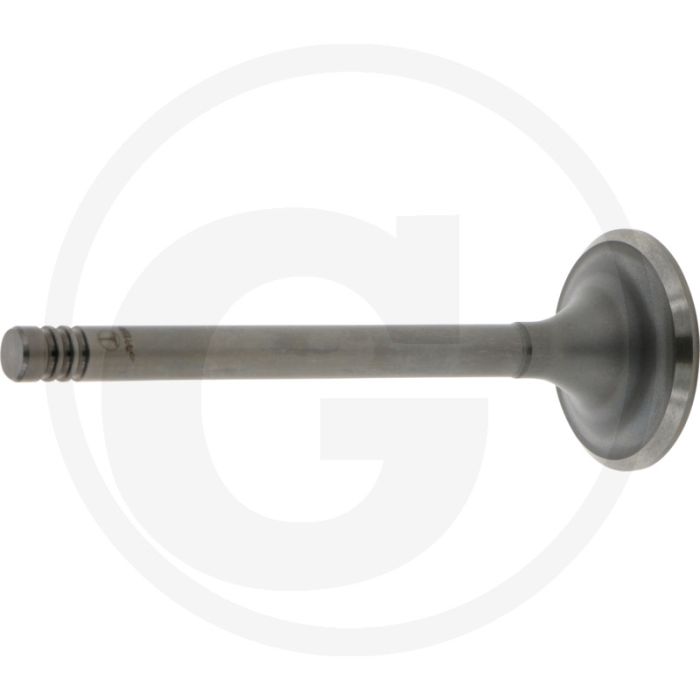 Inlaatklep - F 231 GT vanaf serienr. 16774