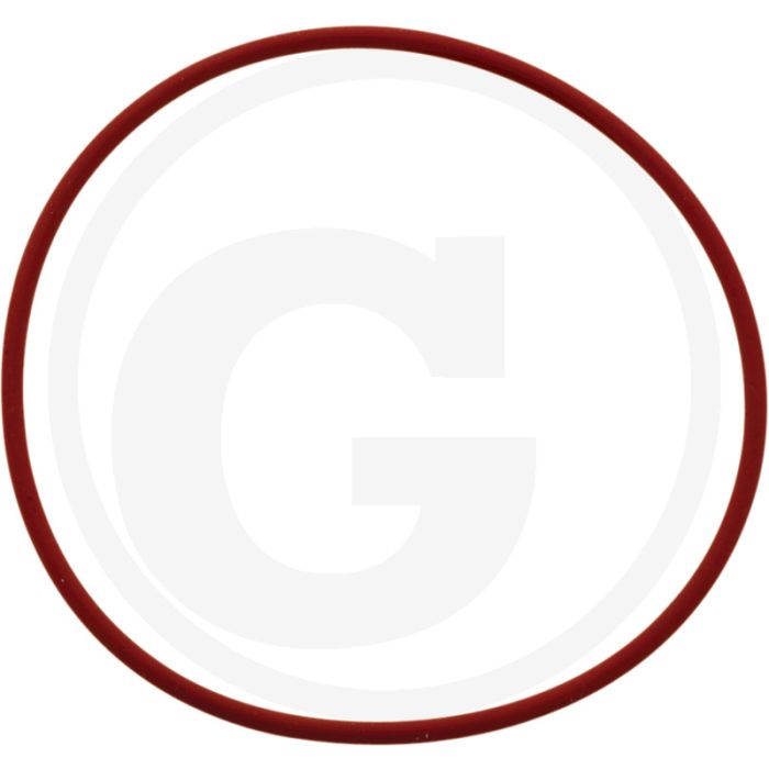 O-ring cilinderbus - F 231 GT serienr. 16774