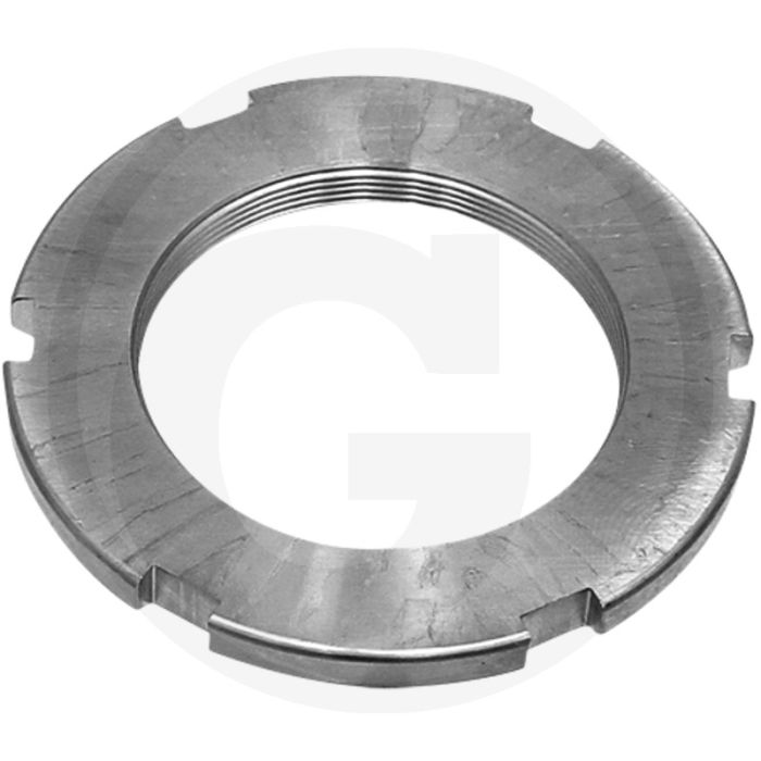 Borgmoer (draaigewricht) Borgmoer (draaigewricht)