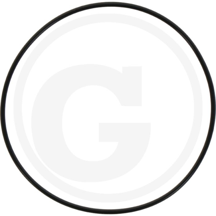O-ring afdekplaat (achter)