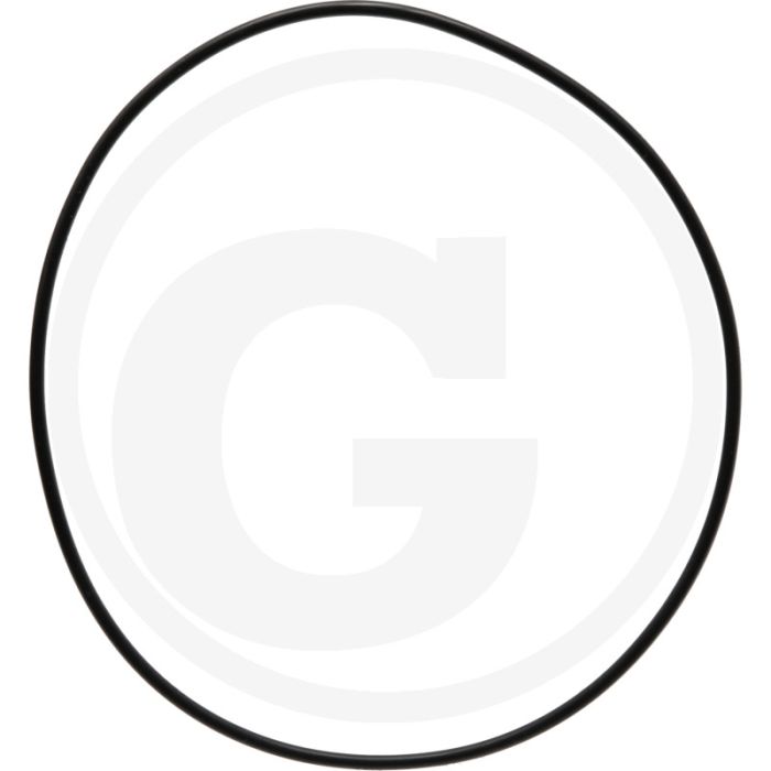 O-ring (Cilinderbus  boven)