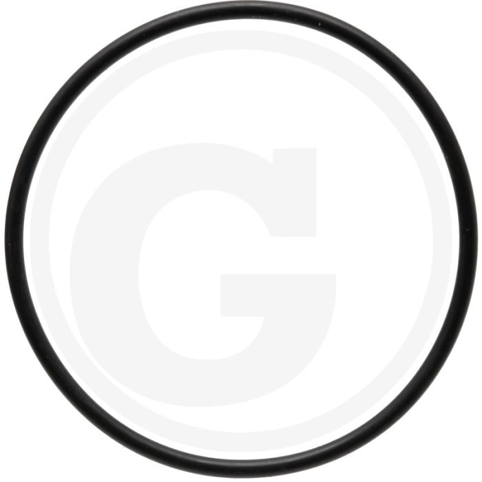 O-ring (Cilinderbus  onder)
