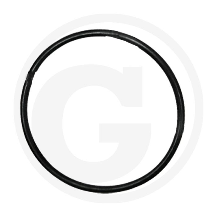 O-ring (Steekas achter) O-ring (Steekas achter)