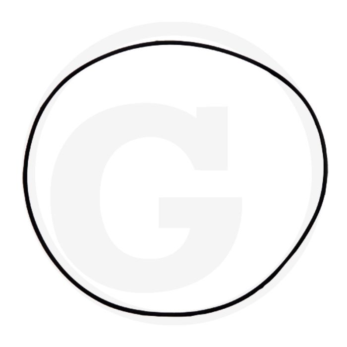 Afdichtring (brandstofpompflens)