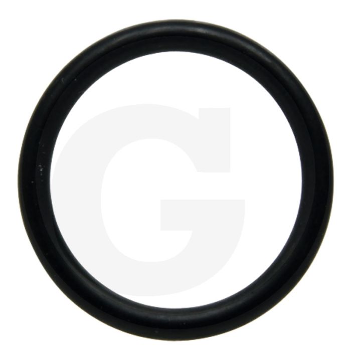 Afdichtring (zuigzijde) Afdichtring (zuigzijde)