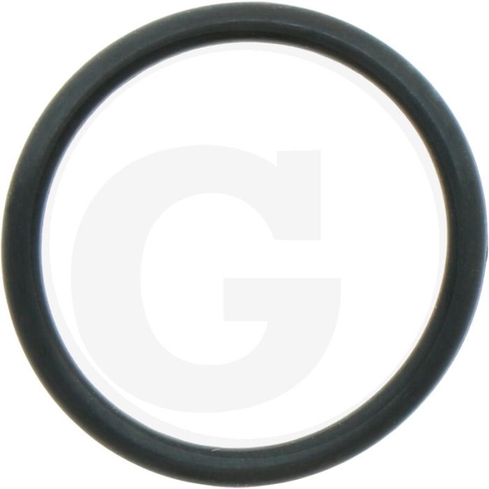 Afdichtring (zuigzijde)