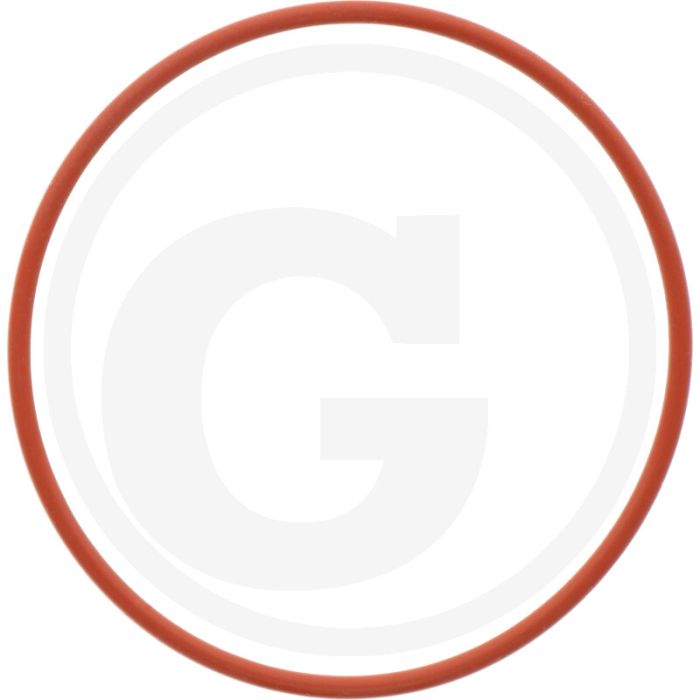 Afdichtring (Cilinderbus)
