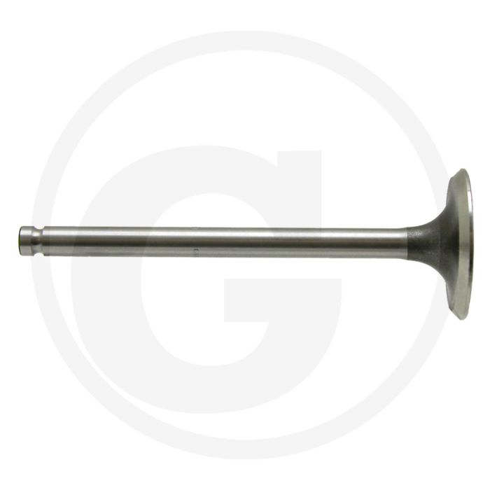 Inlaatklep - AD 4.203, MF 65, MF 165