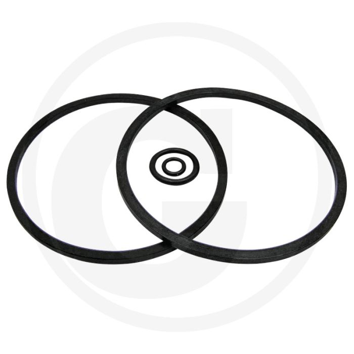 Afdichtingsset (passend voor filter 15402580)