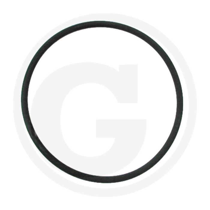 O-ring