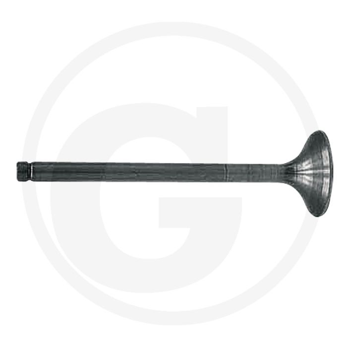 Inlaatklep voor McCORMICK/IHC Trekkertype: 1255, 1455