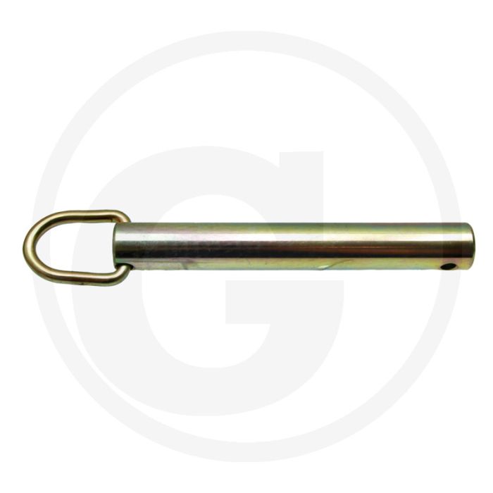 Borgpen (25 X 185)